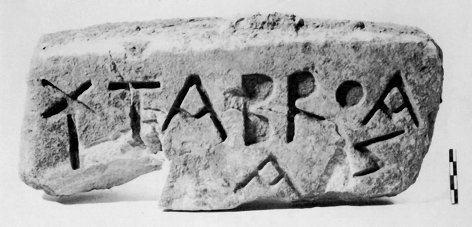 Piccola lastra di càrparo da Mesagne (III sec. a.C.)